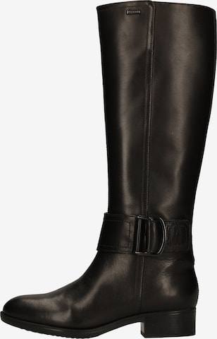 GEOX Stiefel in Schwarz