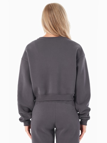 Organication Sweatshirt in Grau