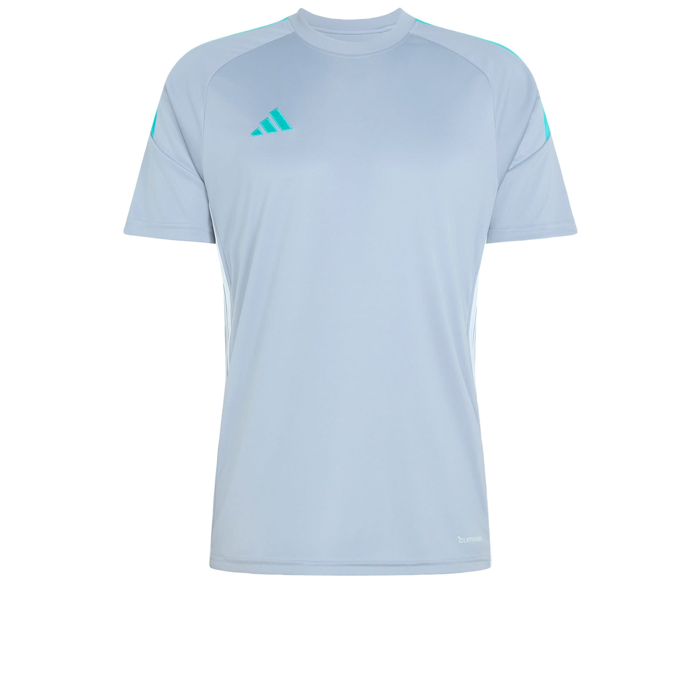 T-Shirt fonctionnel 'Tiro 26 Essentials' ADIDAS PERFORMANCE en gris : devant