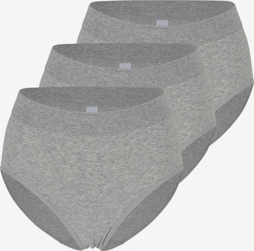 SPEIDEL Slip 'bio.cotton Plus' in Grau: Vorderseite