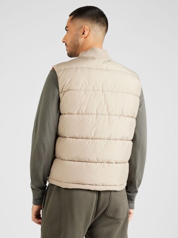 ALPHA INDUSTRIES Vest i beige