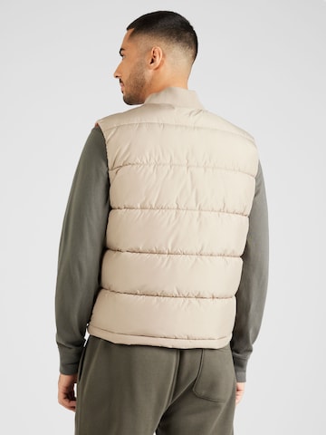 ALPHA INDUSTRIES Vest in Beige