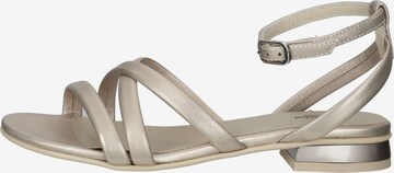 Nero Giardini Strap Sandals in Silver