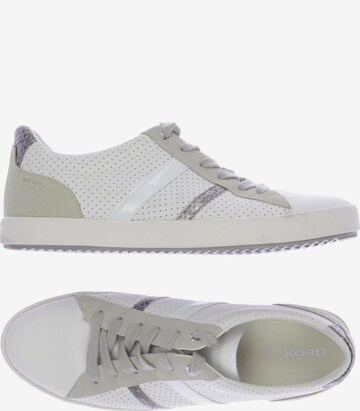 GEOX Sneakers & Trainers in 41 in White: front