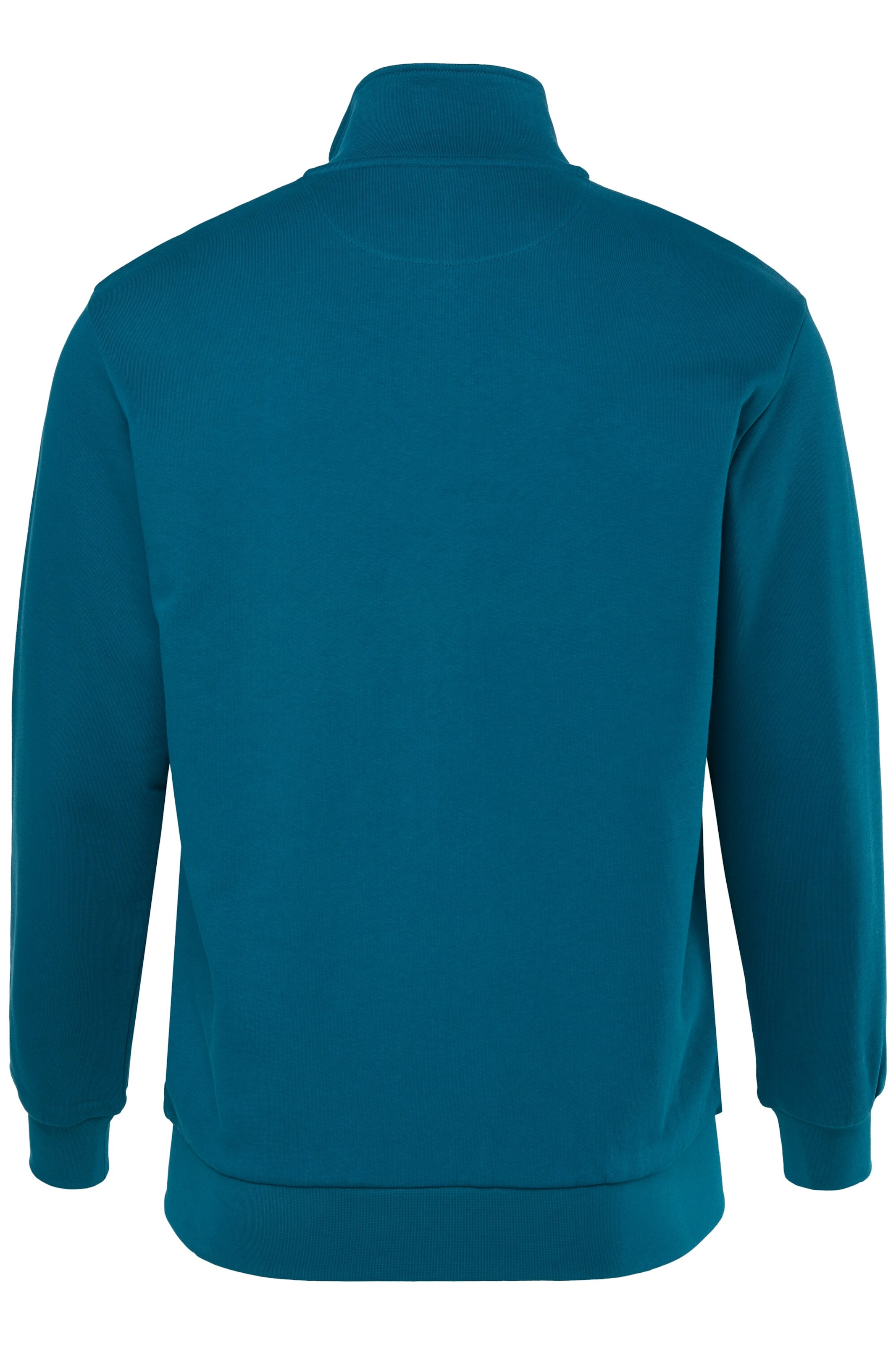 Men Plus Sweatvest in Groen