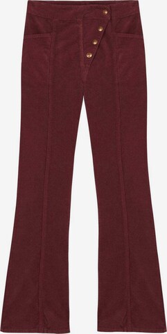 Scalpers Boot cut Pants 'Corduroy' in Red: front