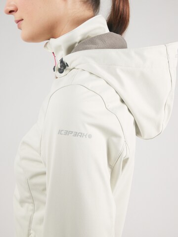 ICEPEAK Outdoor jacket 'Boise' in Beige
