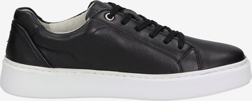 SIOUX Sneakers ' Tils' in Black