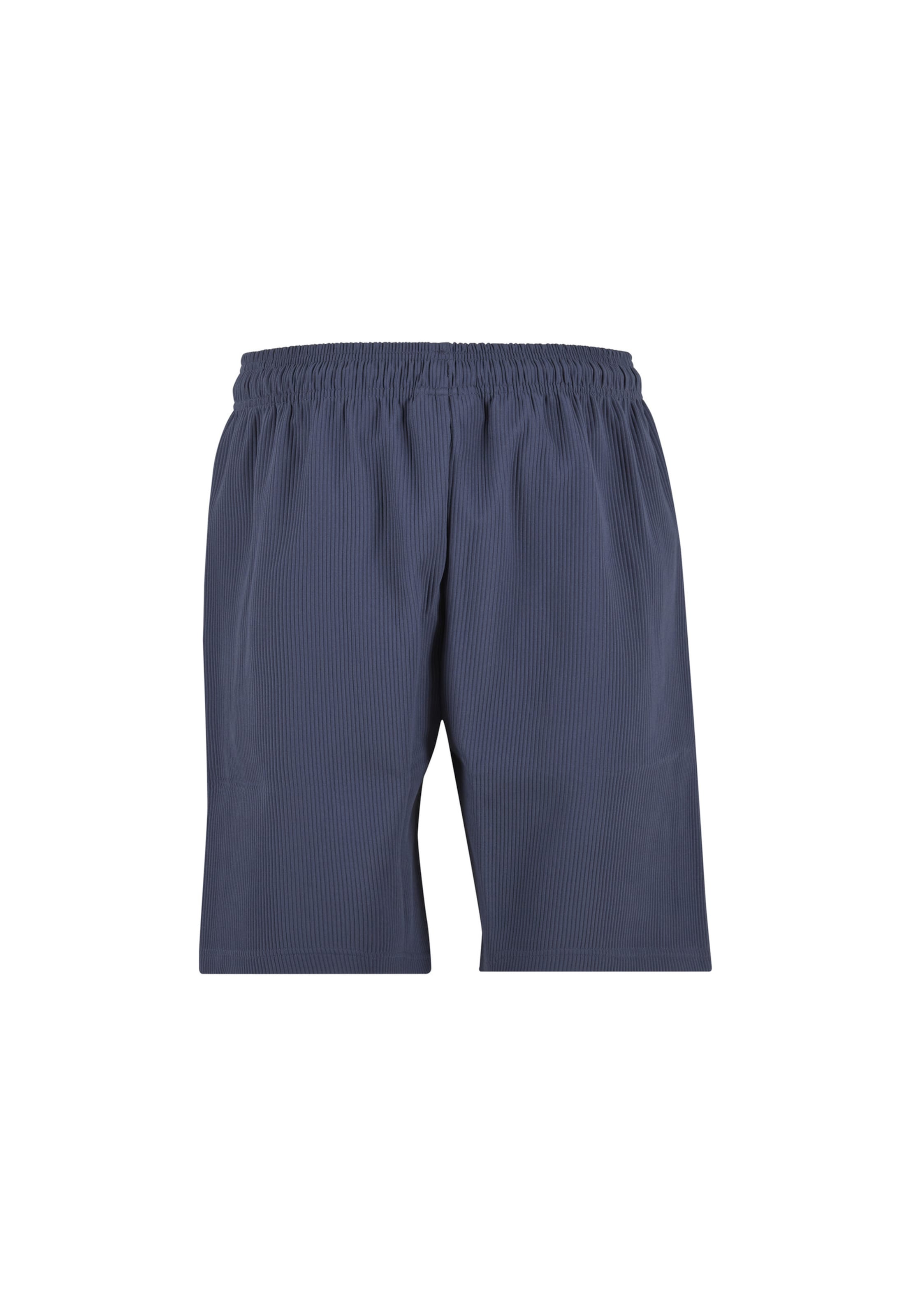 Pegador Regular Trousers 'Troy' in Blue