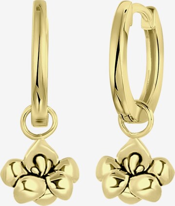 Lucardi Earrings in Gold: front