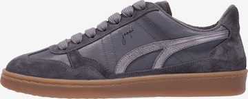 JOOP! Sneakers in Grey: front