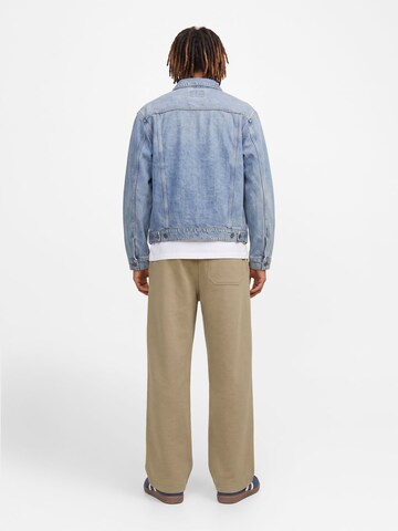 JACK & JONES Barrel Trousers in Beige