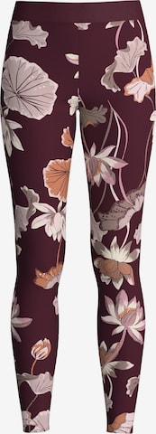 CALIDA Leggings 'Elastic Trend' in Black: front