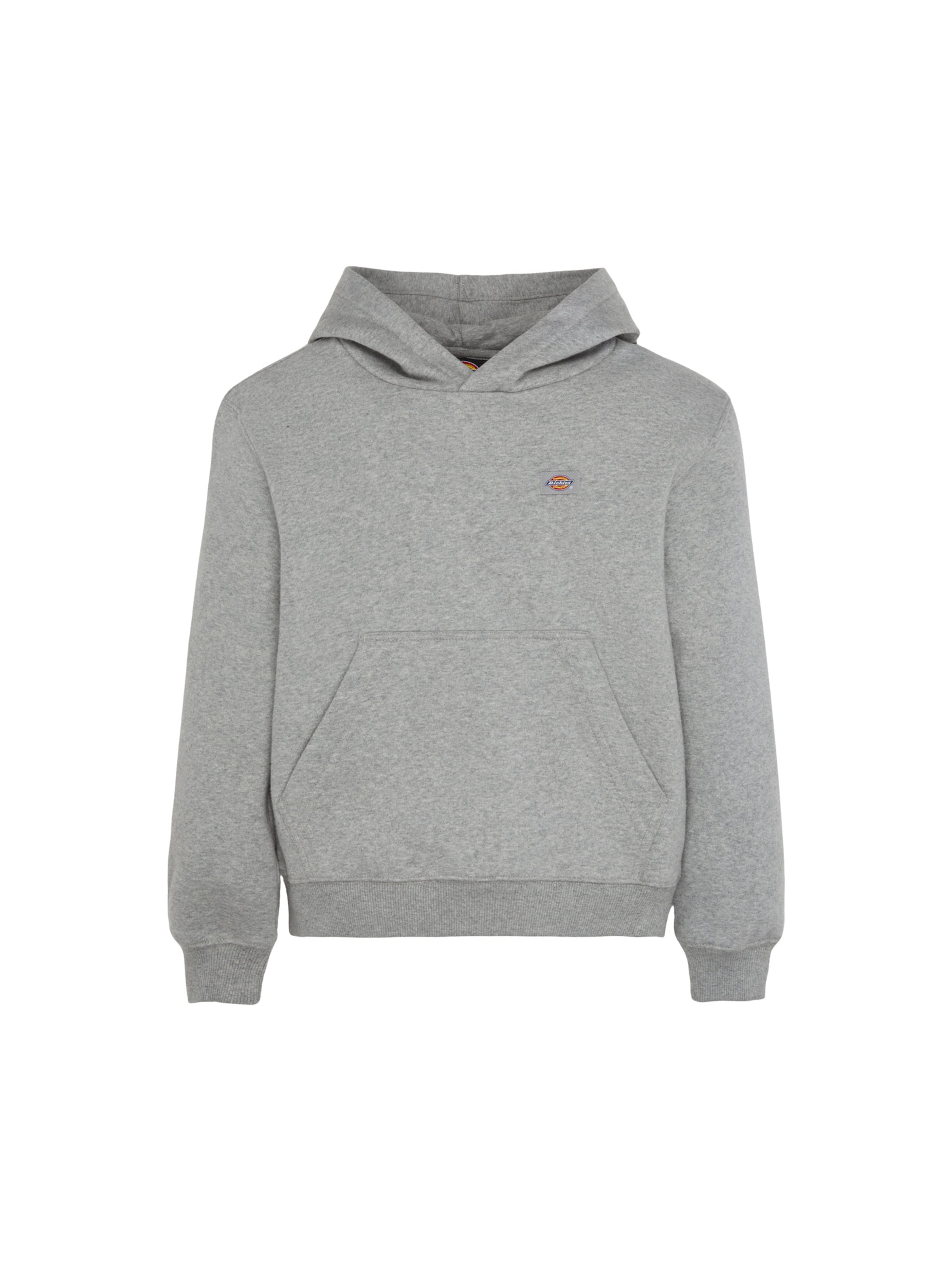 DICKIES - Sudadera 'Youth Oakport' en gris: frente