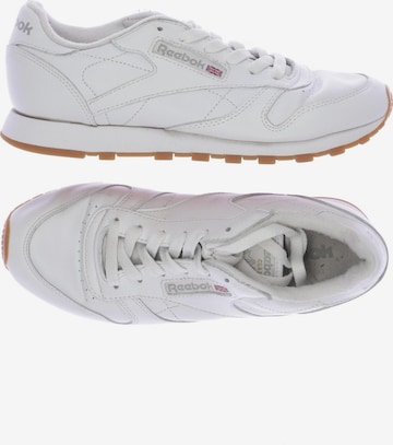 Reebok Sneakers & Trainers in 38 in White: front
