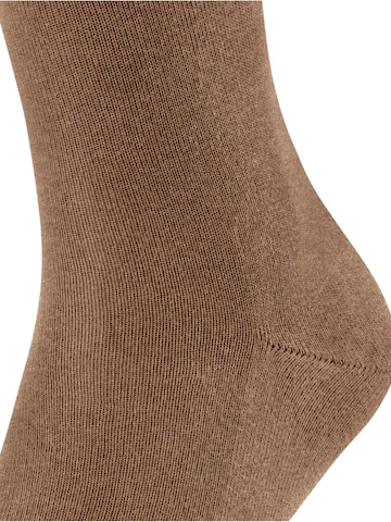 FALKE Socks 'Family' in Brown: front