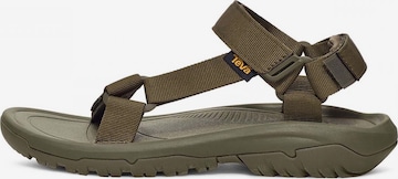 Sandales TEVA en vert : devant
