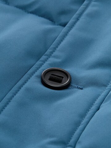 TOM TAILOR Men + Winter jacket in Blue