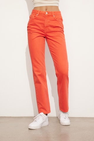 Envii Regular Jeans 'Bree' i orange: framsida