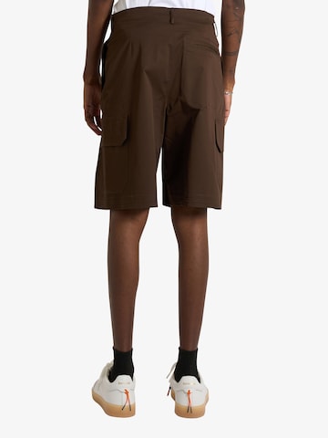 DARK LABEL Regular Pleat-Front Pants in Brown