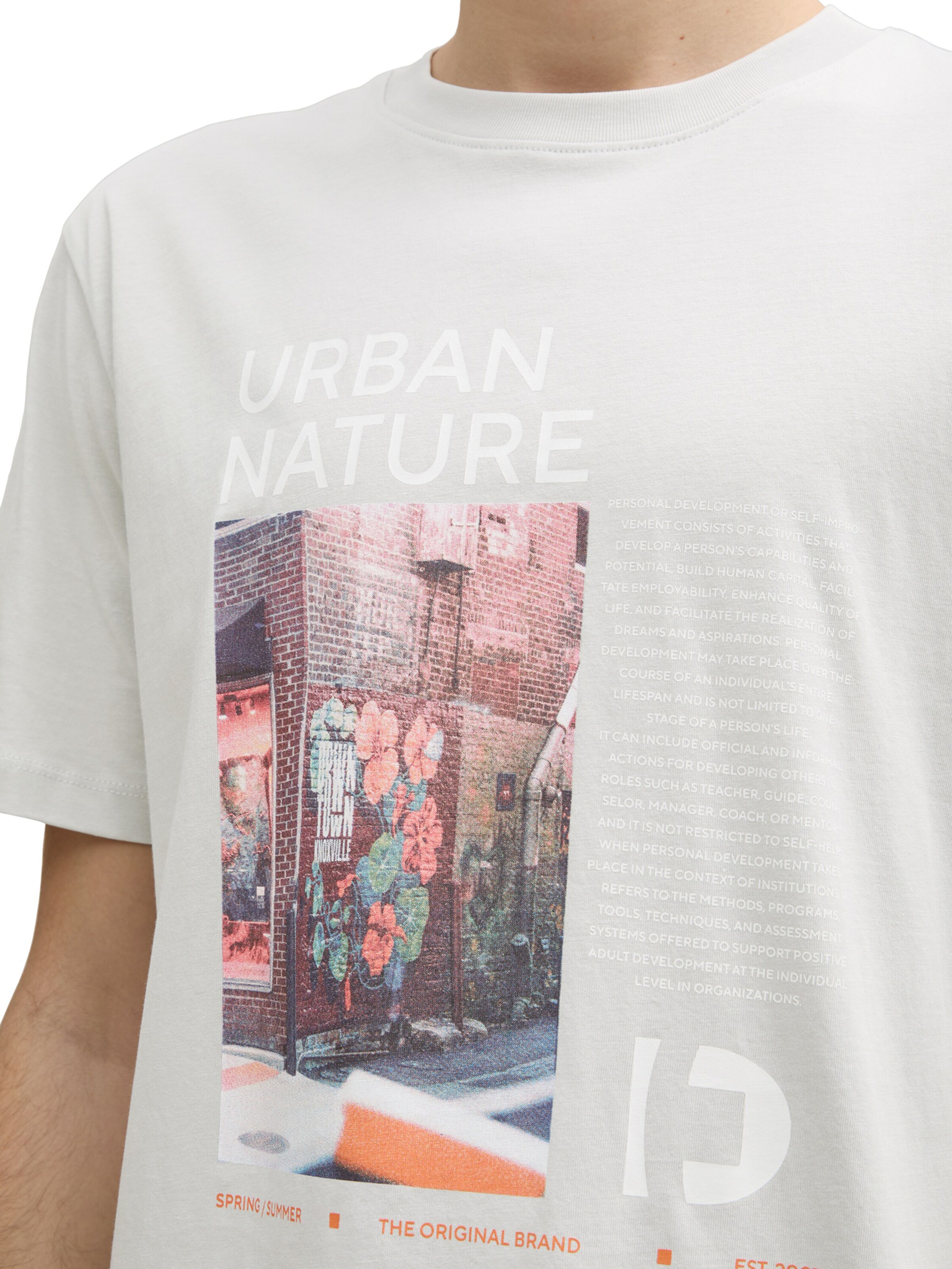 TOM TAILOR DENIM Koszulka w kolorze szary