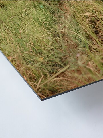 Liv Corday Image 'The Fields' in Mixed colors