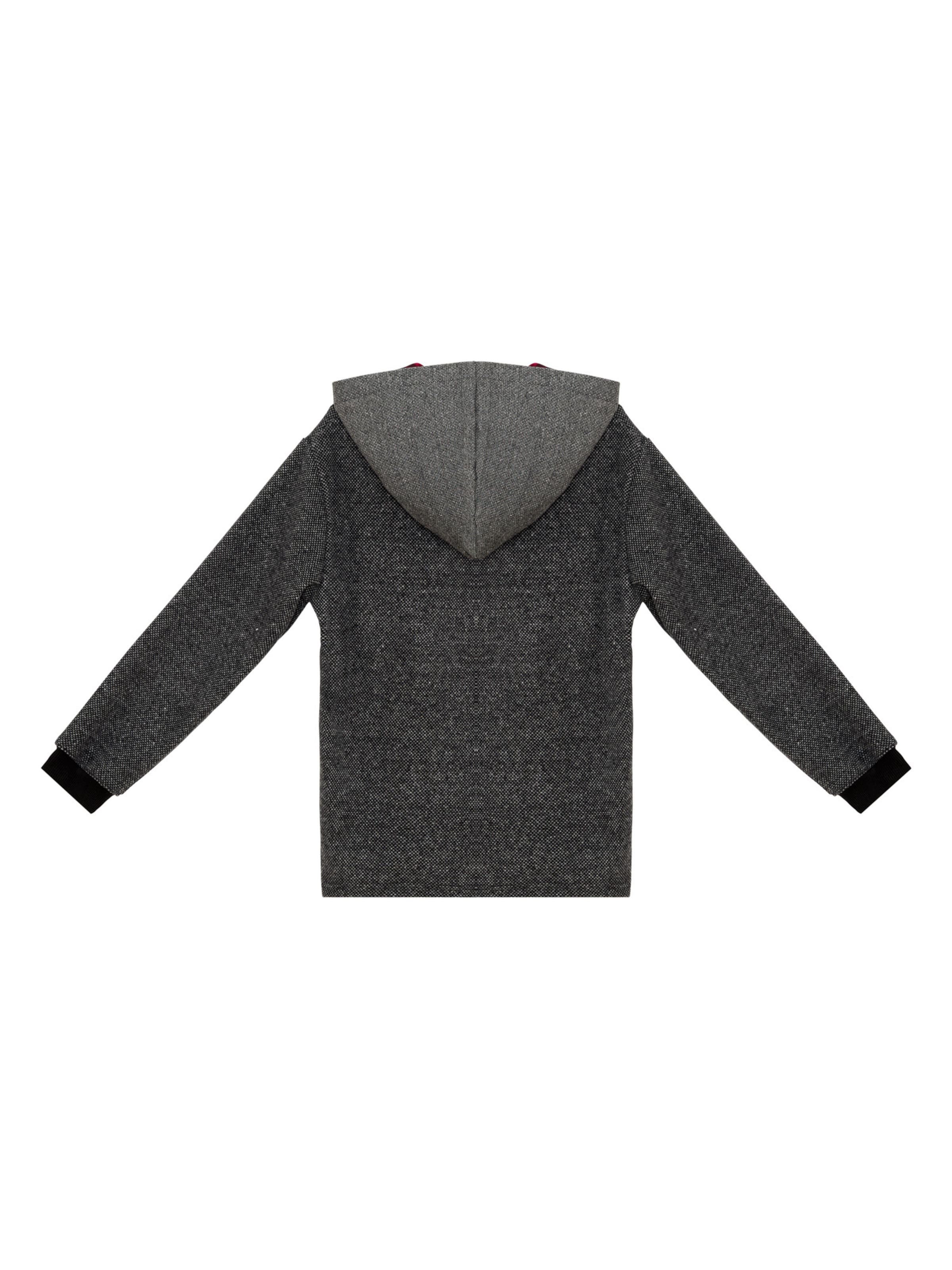 Denokids Trui ' CFF-24S1-061 ' in Grijs