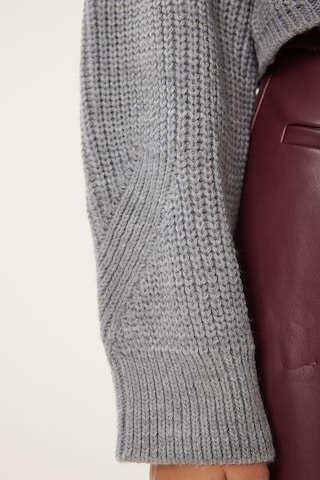 Happiness İstanbul Pullover in Grau