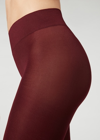 CALZEDONIA Tights in Red