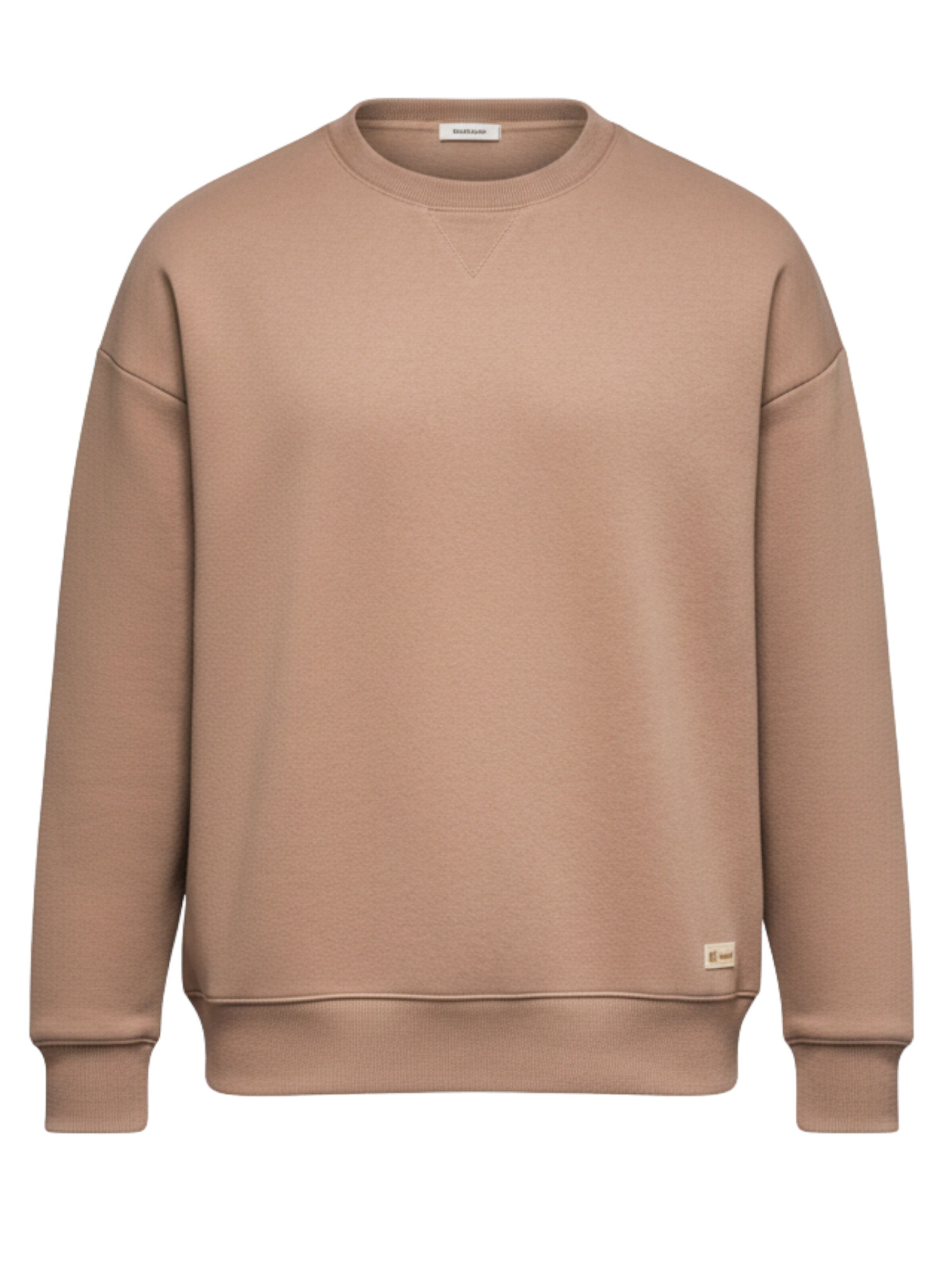 Sweat-shirt 'OU-SNBC-0104' Ombre en marron : devant
