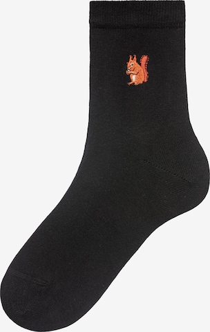 H.I.S Socks in Black