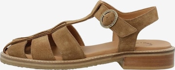 Ca'Shott Remmisandaalit 'Casgrace' värissä ruskea: etupuoli