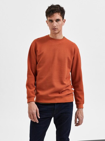 SELECTED HOMME Sweatshirt in Brown: front