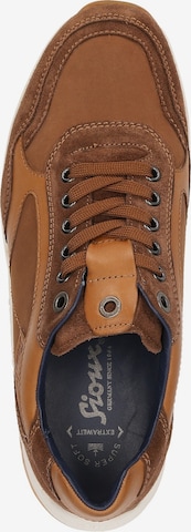 SIOUX Sneakers laag 'Turibio-711-J' in Bruin