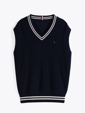 TOMMY HILFIGER Sweater in Blue: front