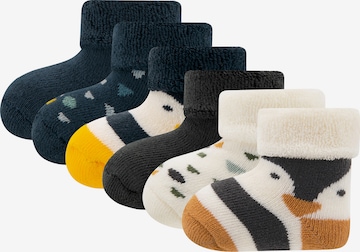 EWERS Socks 'PINGUIN' in Mixed colours: front