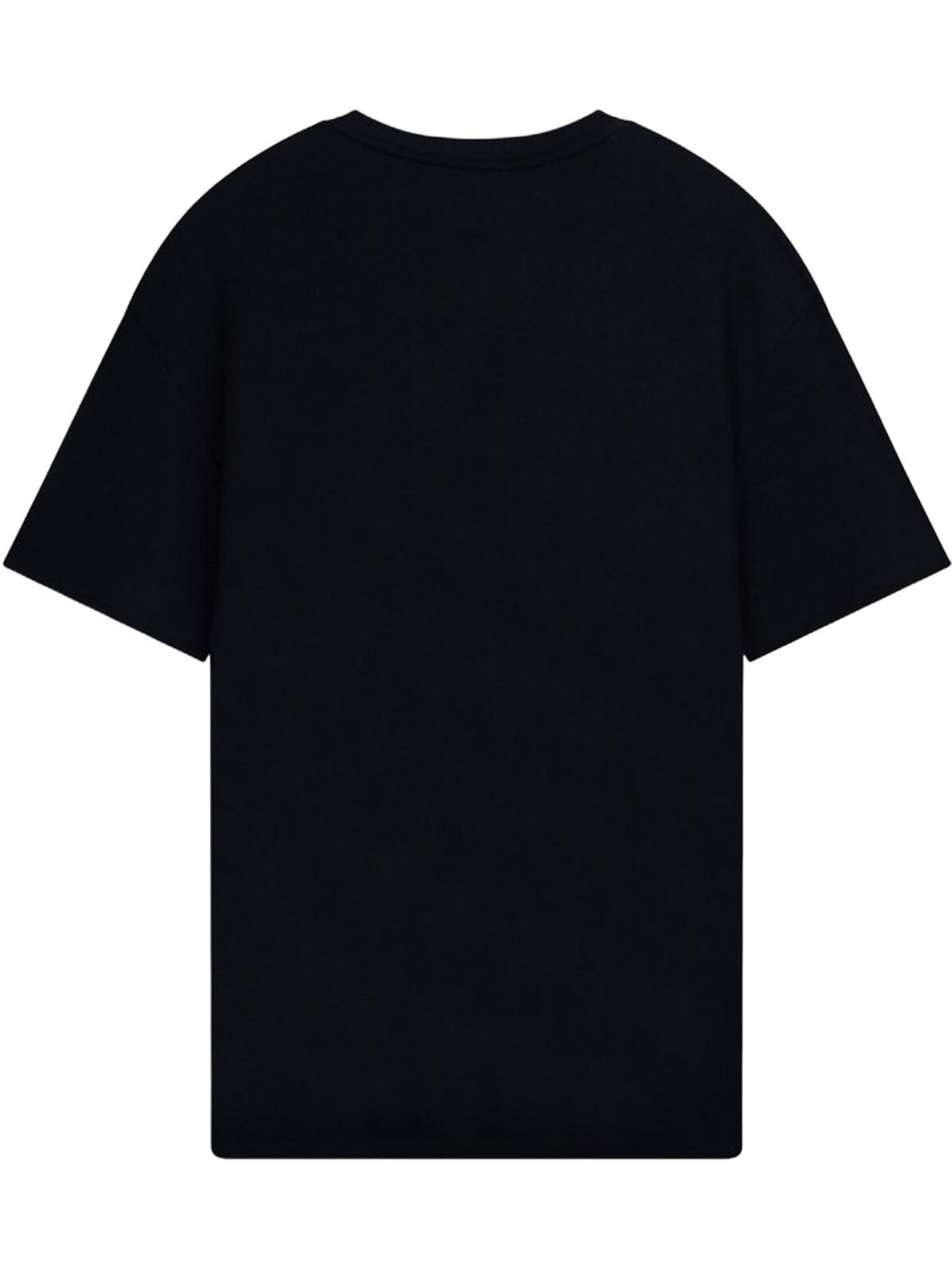 LTB Jeans Shirt 'LTB Jeans Basic Rundhals-T-Shirt' in Blauw