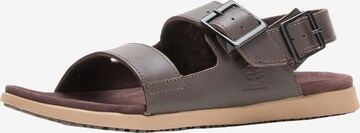 Kamik Sandals 'Marty' in Brown: front