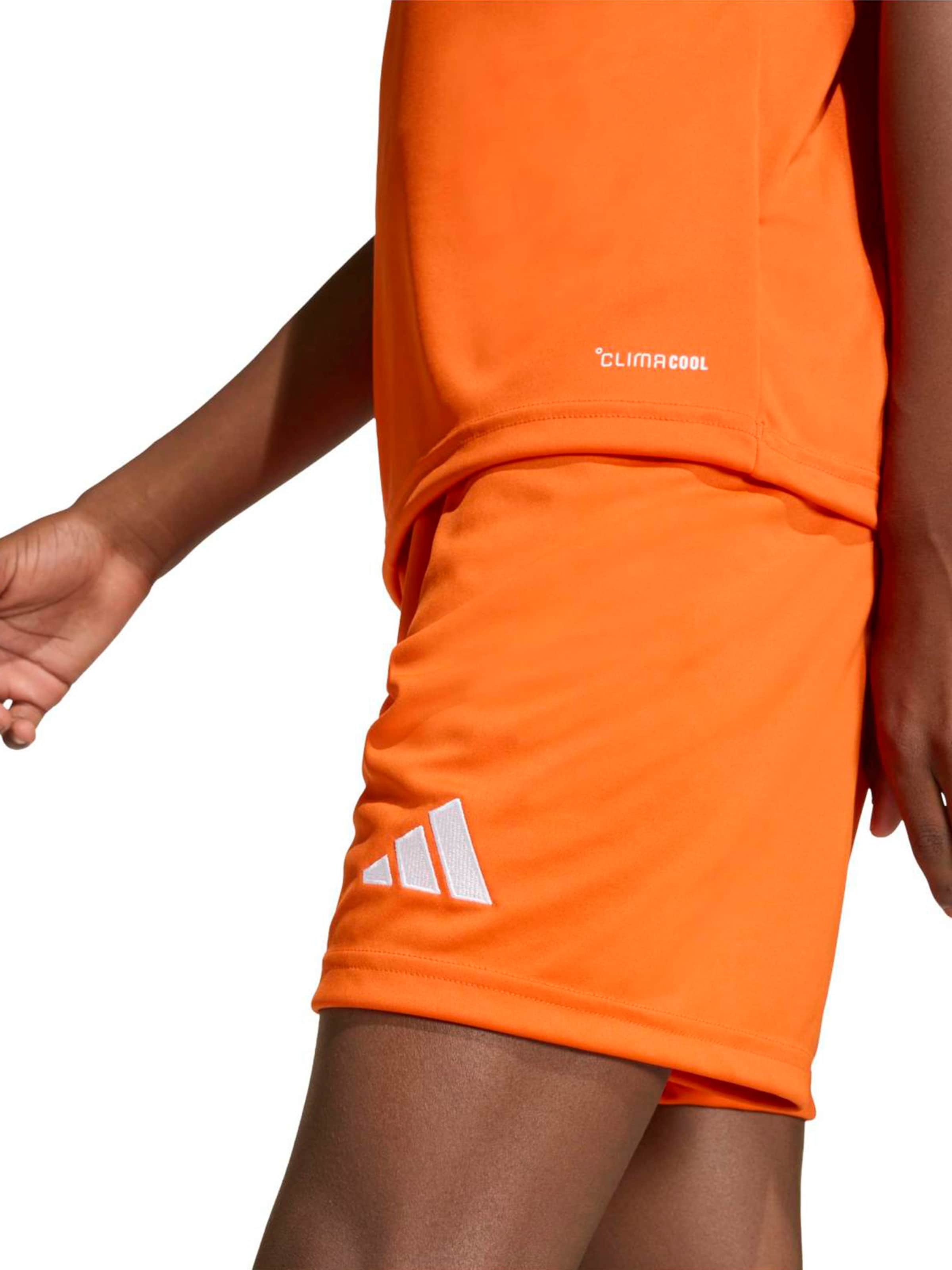 ADIDAS PERFORMANCE regular Παντελόνι φόρμας 'ENT26' σε πορτοκαλί