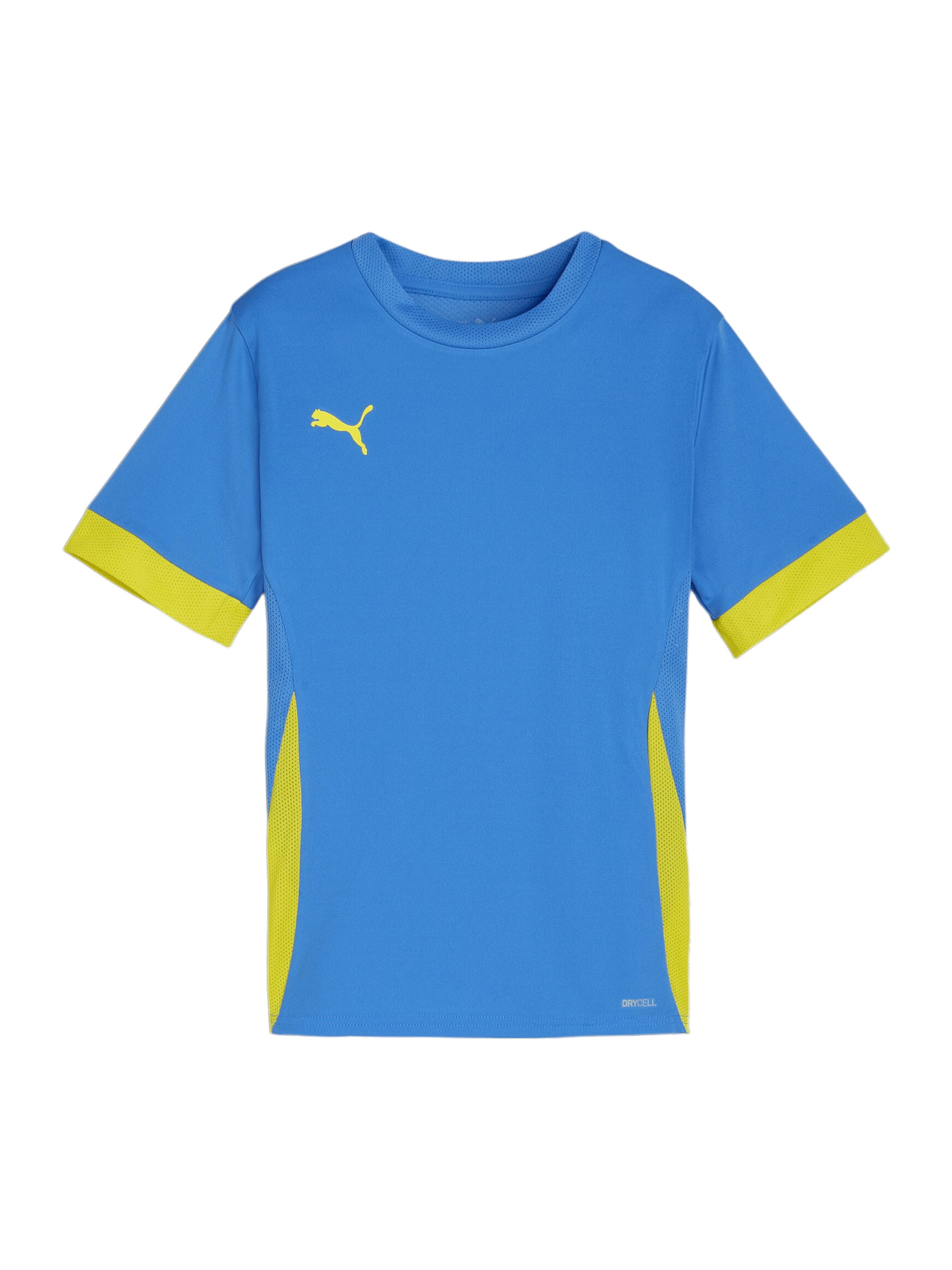 PUMA Trikot in Blau: Vorderseite