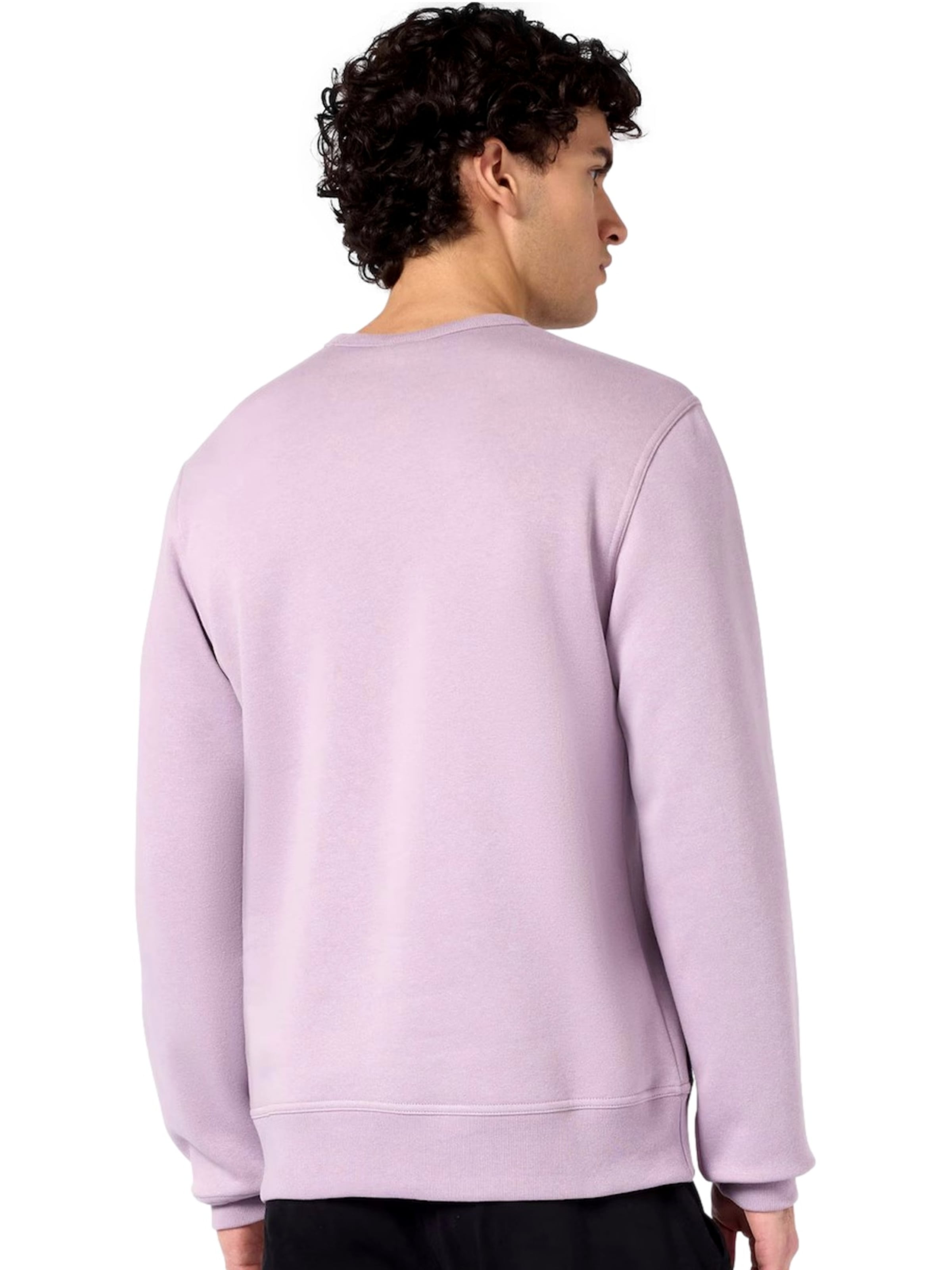 Champion Authentic Athletic Apparel Sweatshirt in Purple