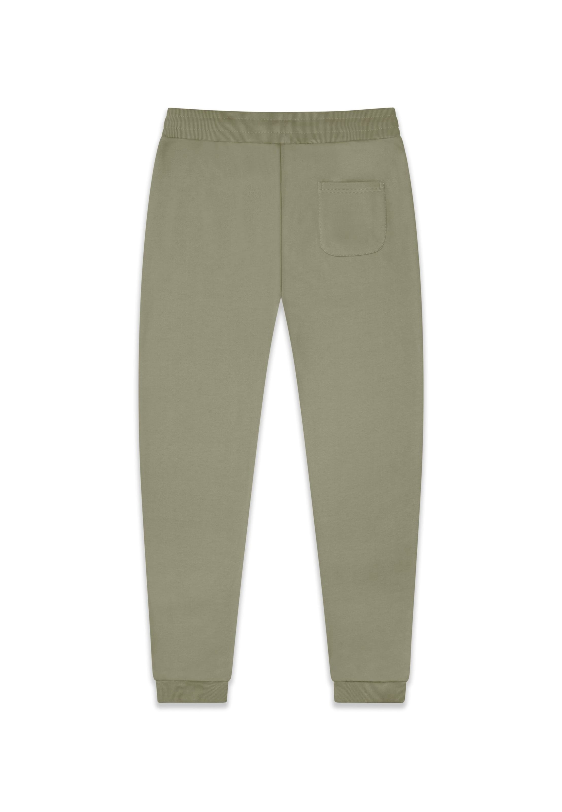 Dropsize Loosefit Broek in Groen