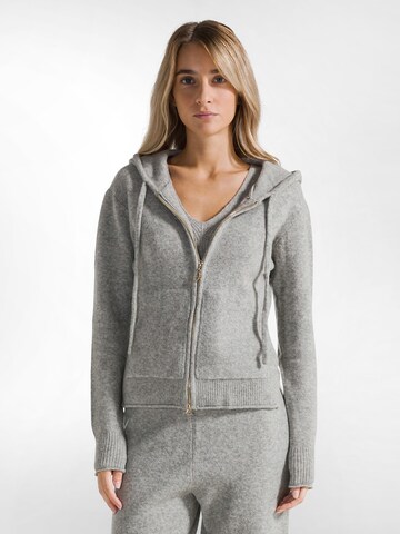 DEHA Sweatshirt in Grau