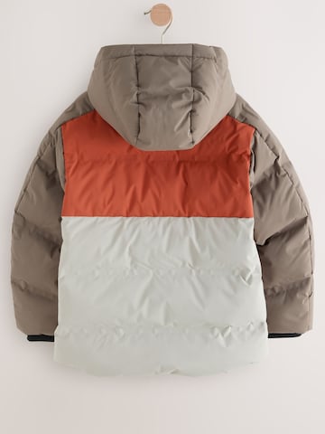Veste mi-saison Next en marron