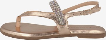 TAMARIS T-Bar Sandals in Gold