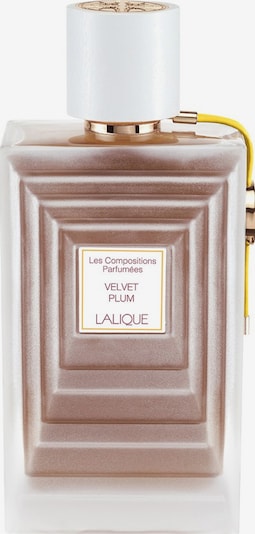 LALIQUE Eau de Parfum 'Velvet Plum' in transparent, Produktansicht