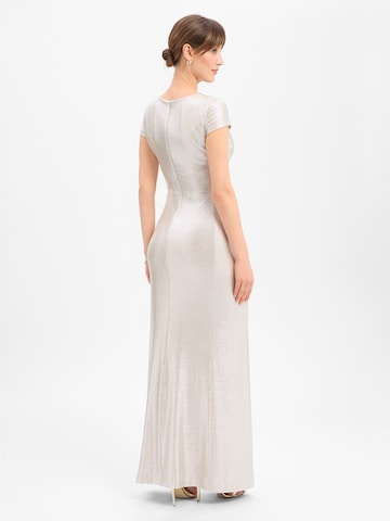 Ambiance Kleid in Silber