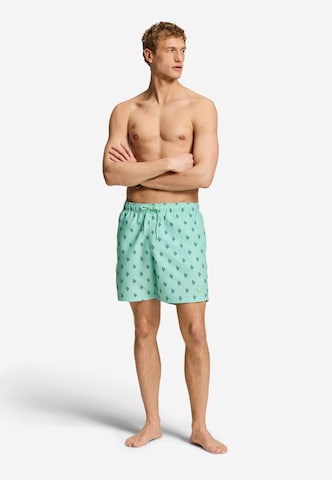 Shorts de bain Shiwi en vert