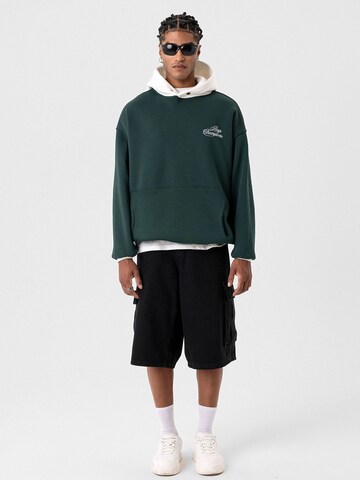 Pull-over 'Henrick' Dandalo en vert