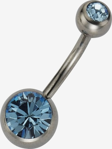 Bijou piercing Zeeme en gris : devant